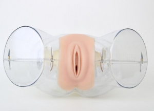 “康為醫療”高級透明刮宮模型,透明刮宮操作模型